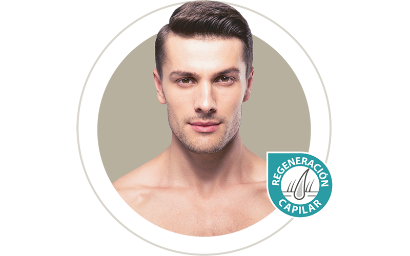 Cajas de CELLMULA HD