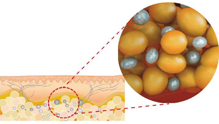 Proceso metabólico con COOLshaping